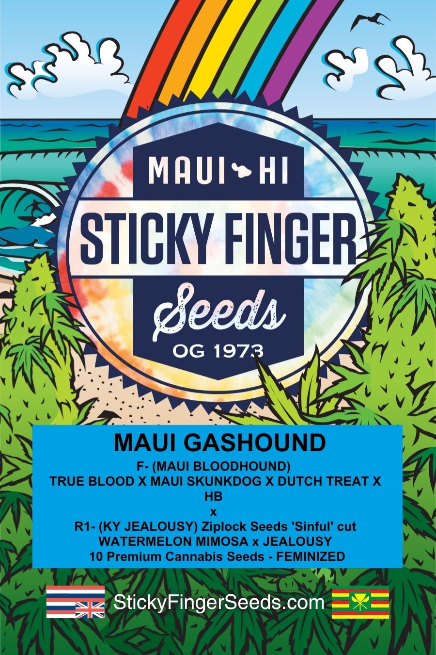 Maui Gashound cannabis strain by Sticky Finger Seeds